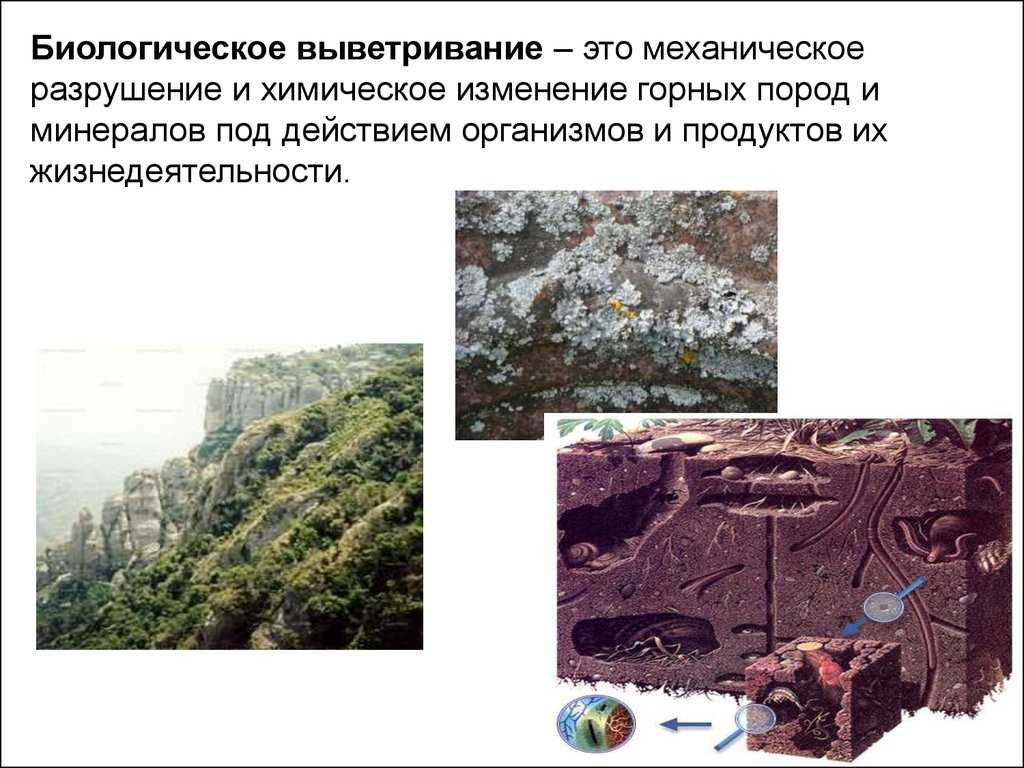 Что такое выветривание горных пород?