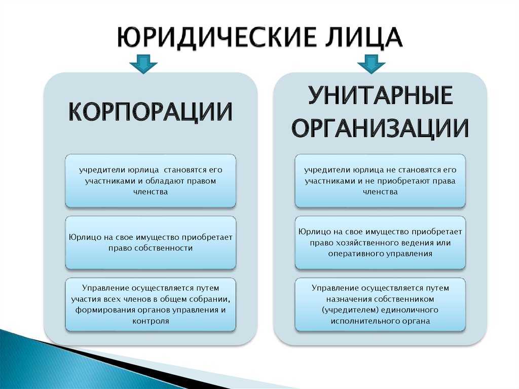 Теории происхождения юридических лиц в гражданском праве