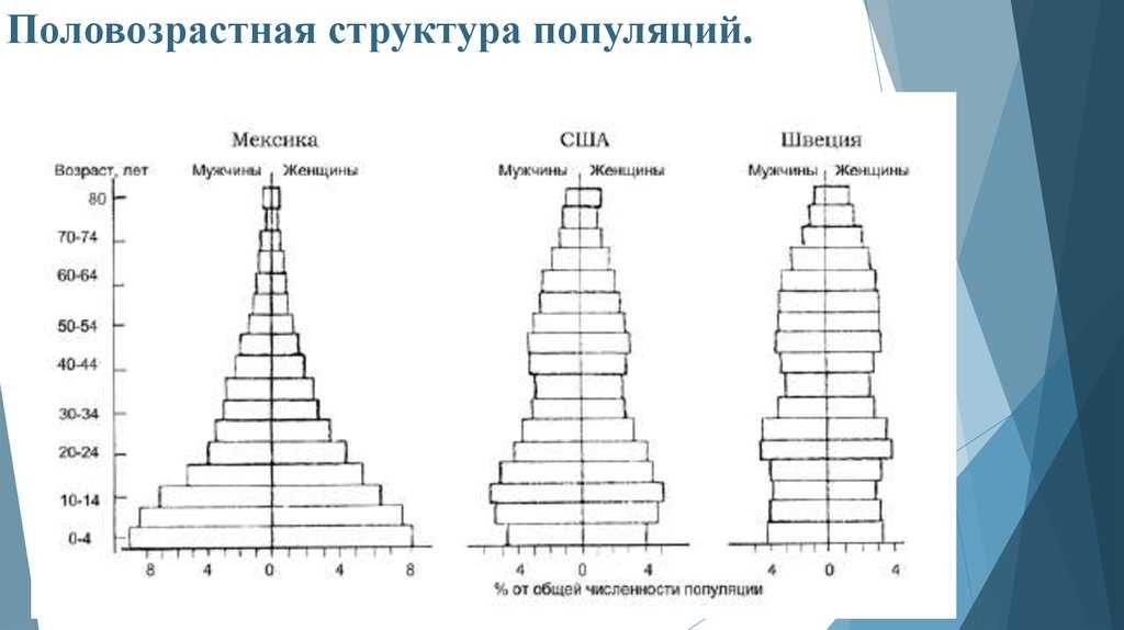 Структура популяции