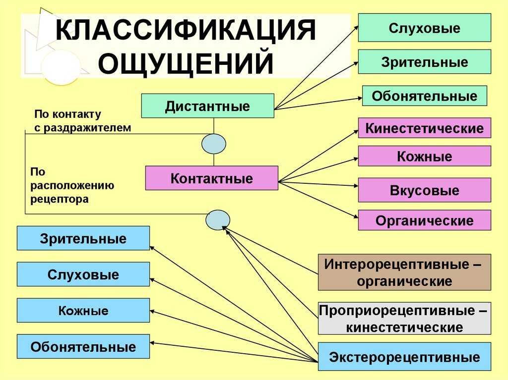6. свойства ощущений. психология