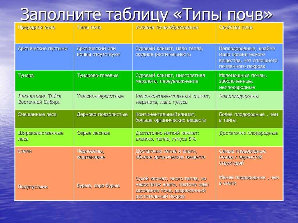 Аллювиальные процессы, пойменные почвы характеристика