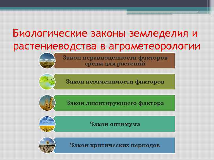 Основные законы земледелия кратко