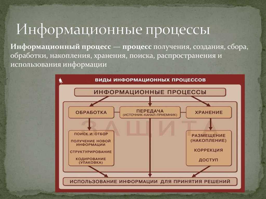 Информационные процессы и информация