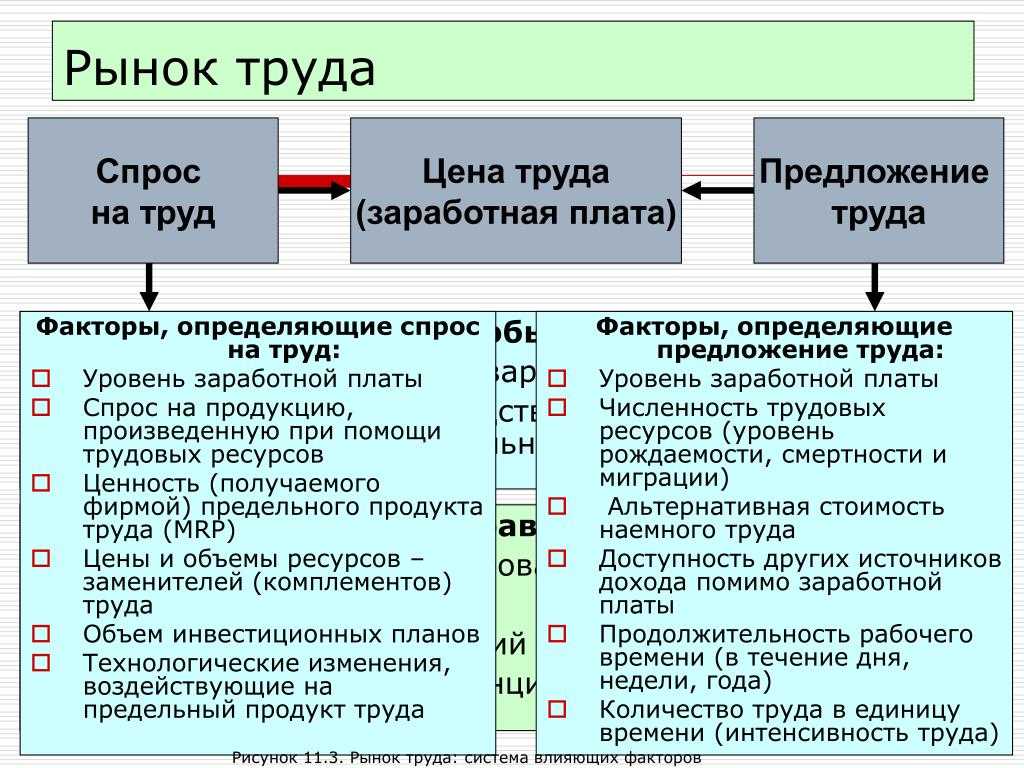 Егэ. экономика. тема 23. рынок труда. заработная плата |