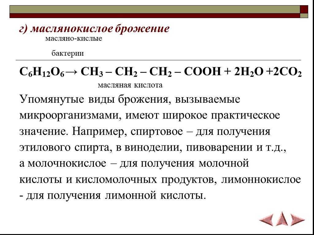 Маслянокислые бактерии: что представляет собой брожение