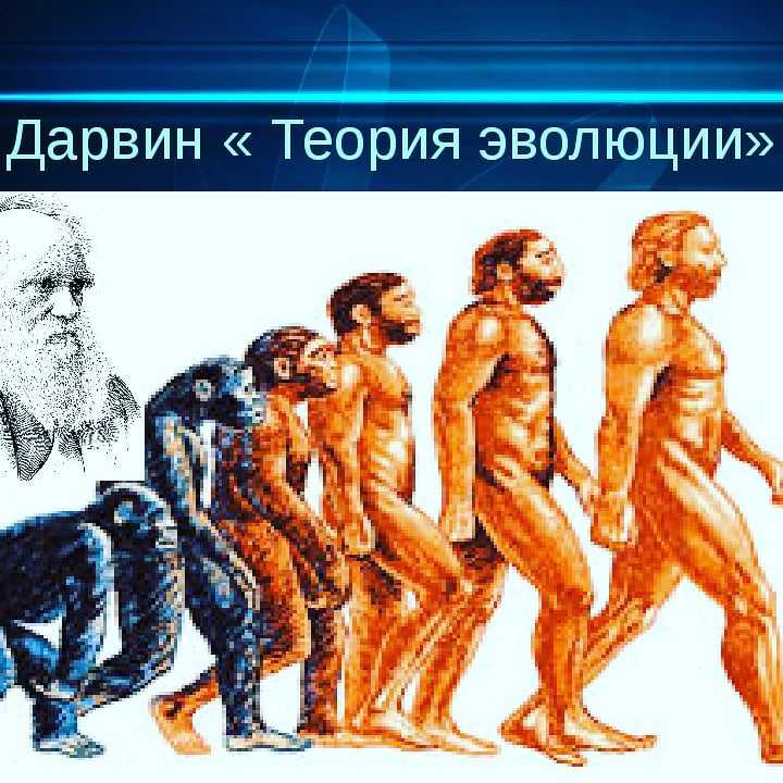 Теория 'естественного отбора' ч. дарвина. реферат. биология. 2012-05-21