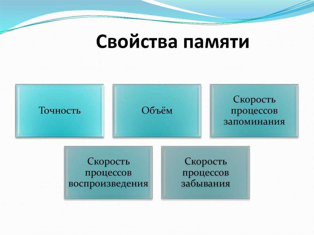 Виды памяти у человека