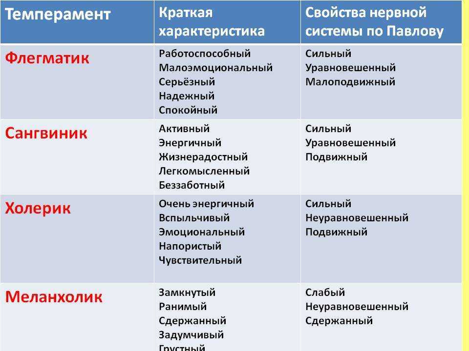Темперамент человека. 4 типа, свойства и особенности