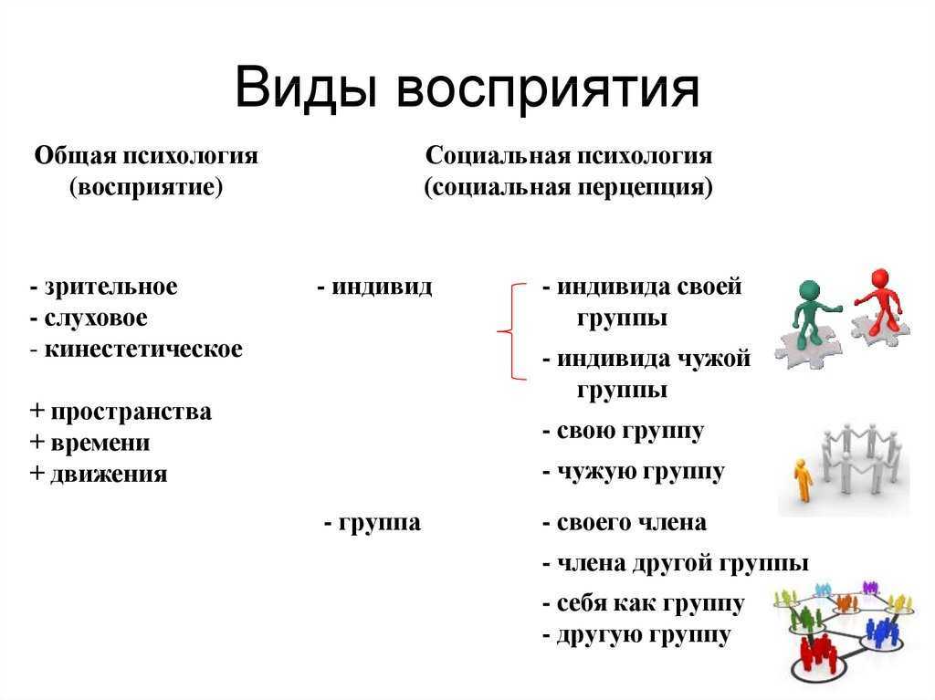 Восприятие - понятие, классификация, свойства