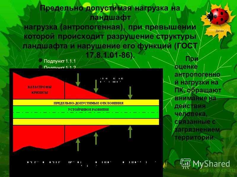 Антропогенное воздействие