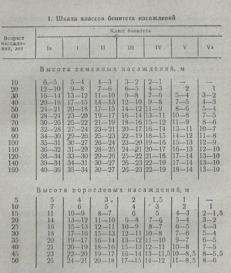 Класс - бонитет
 - большая энциклопедия нефти и газа, статья, страница 1