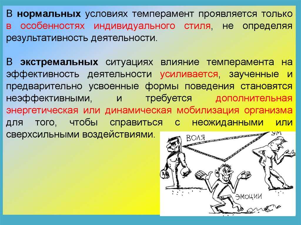 Темперамент и индивидуальный стиль деятельности кратко