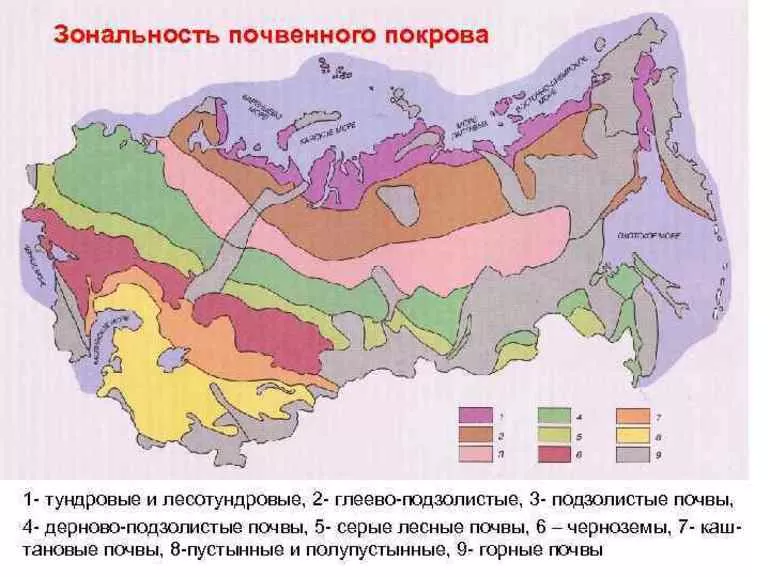 Геологическая деятельность русловых потоков