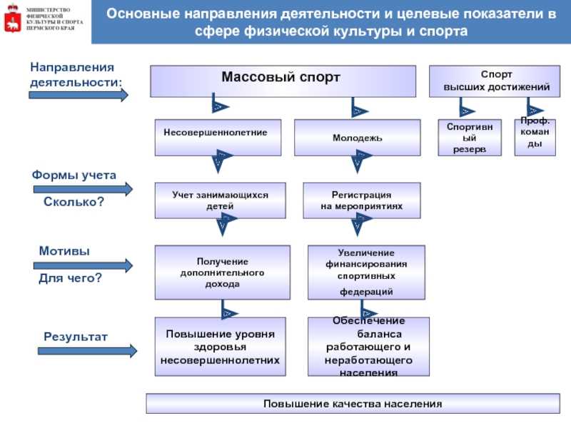Социальные функции спорта - готовый реферат