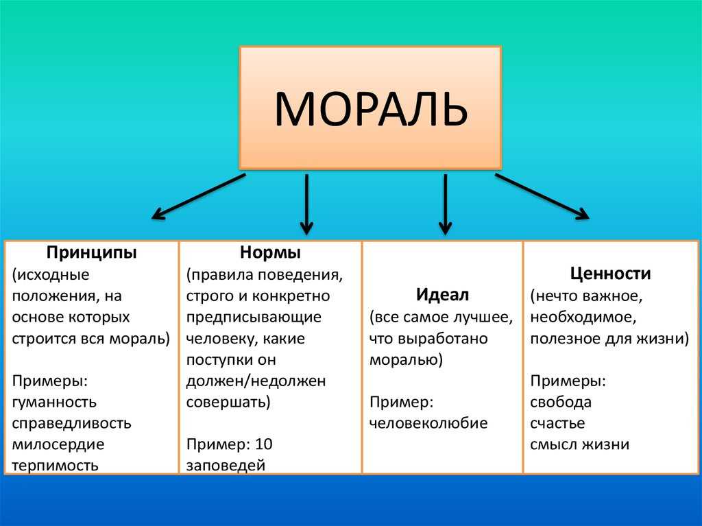 Структура и функции общественного мнения