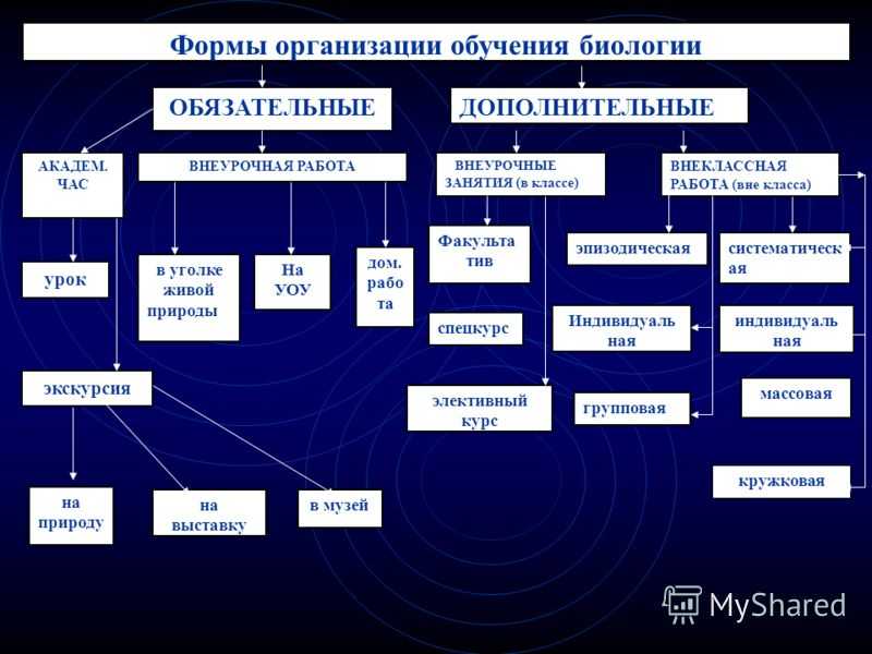 Разнообразие форм организации учебного процесса и условия их применения. воспитателям детских садов, школьным учителям и педагогам - маам.ру