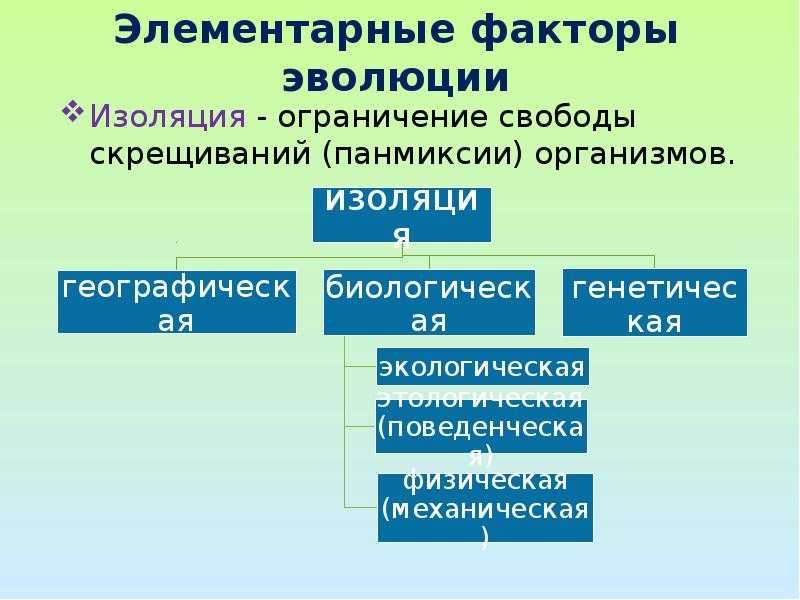Элементарные эволюционные факторы - определение термина