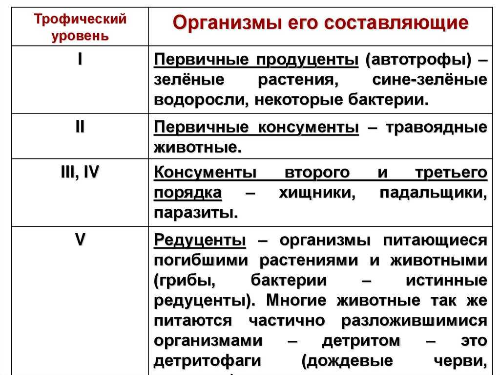 Биогеоценоз и экосистема