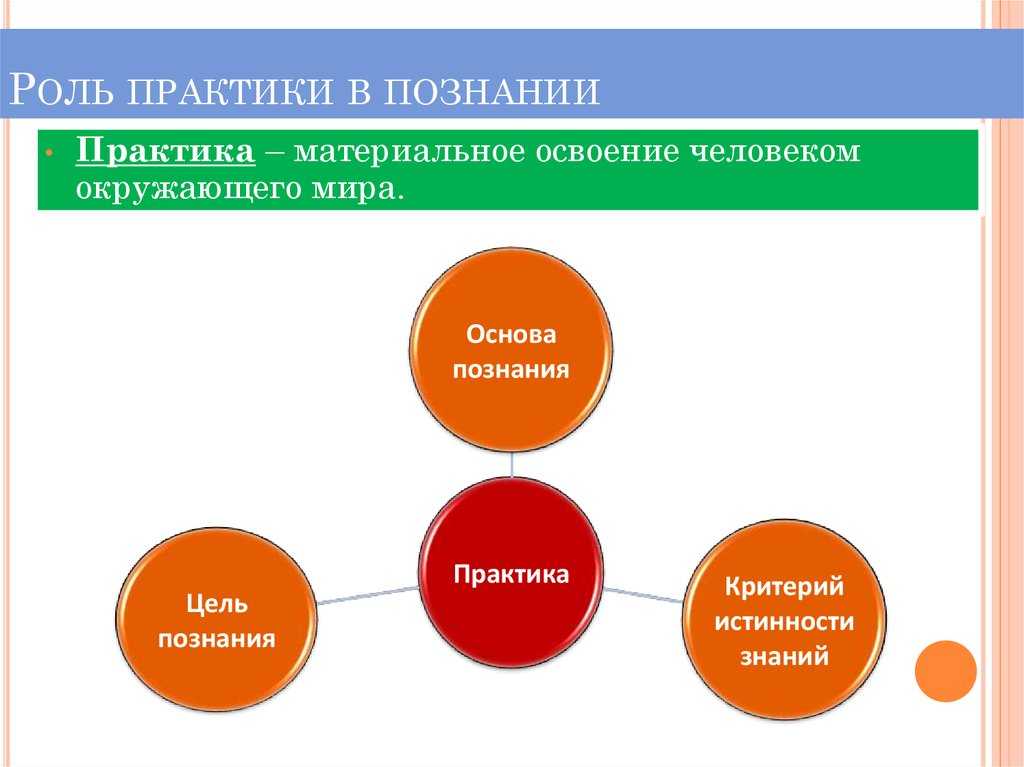 Какова роль практики в процессе познания кратко
