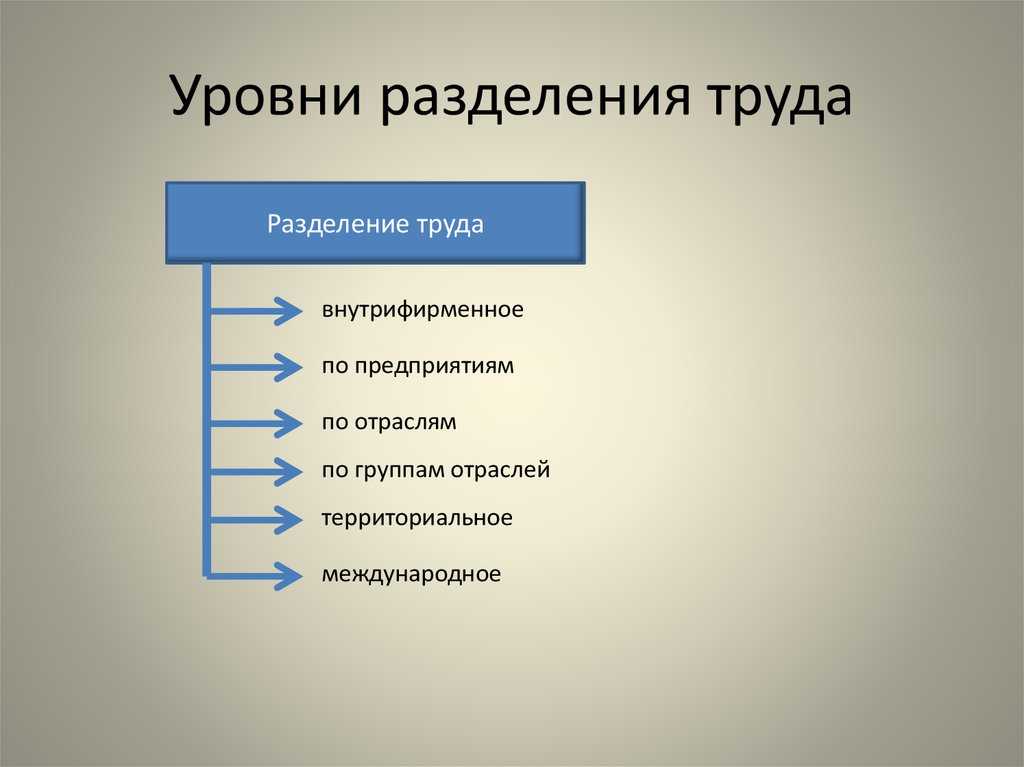 Социально-экономическая география: территориальное (географическое) разделение труда