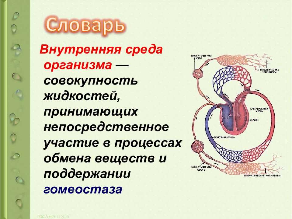 Внутренняя среда предприятия, ее состояние и проблемы в россии
