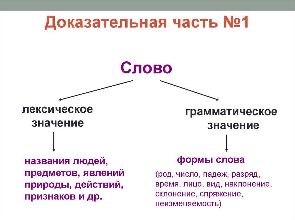 Лексическое и грамматическое значения слова