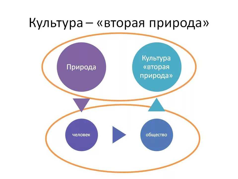 5.1. природа, человек, культура и их взаимосвязь. культурология: учебник для вузов