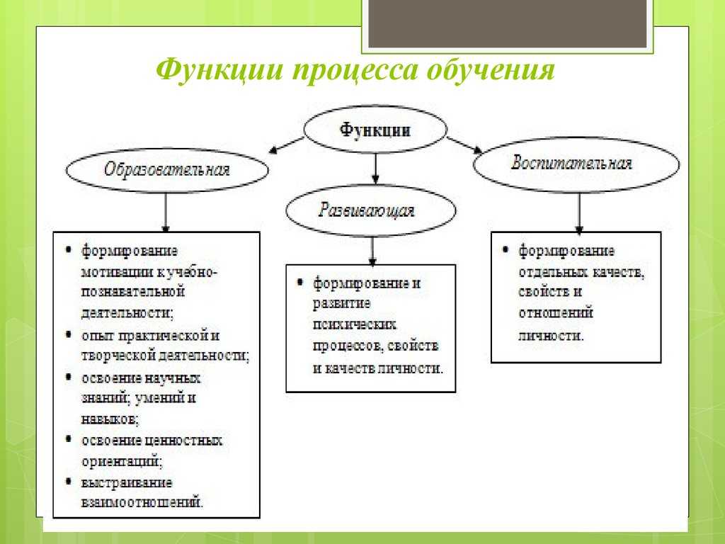 Функции и структура современной образовательной системы