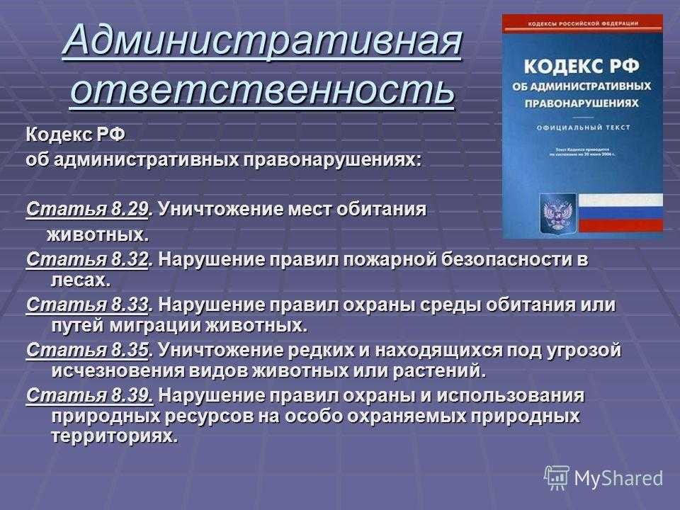 Административно-правовая ответственность