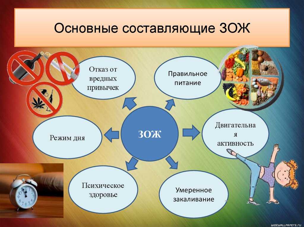 Правильный образ жизни и наше окружение: как построить здоровое сообщество