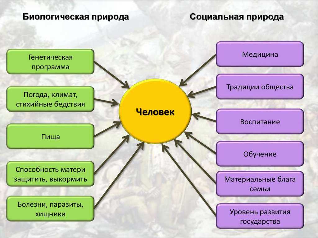 Природа и сущность человека в философии