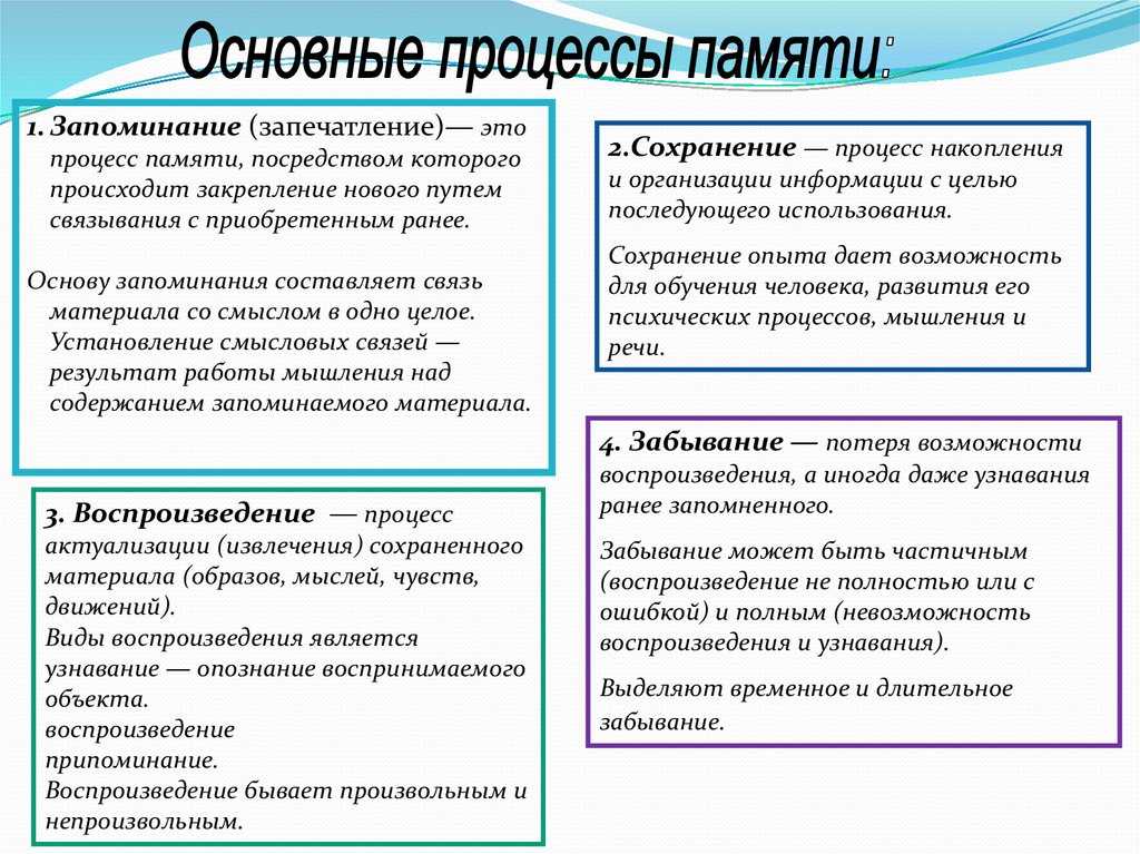 43-понятие о памяти. виды и закономерности. развитие памяти