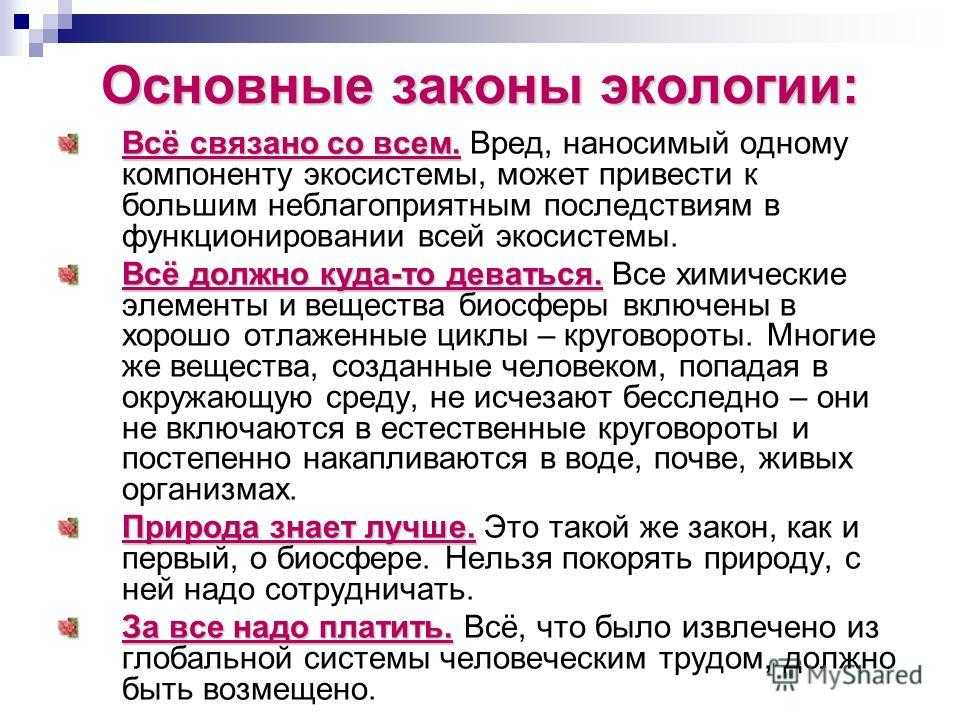 4 закона экологии | экоелец