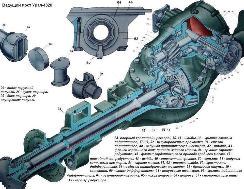 Ведущие мосты автомобилей (назначение, классификация, общее устройство).