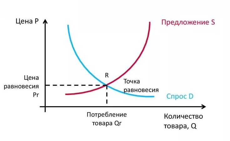 Закон спроса и предложения в обществознании – что предполагает, в чем заключается, примеры кратко