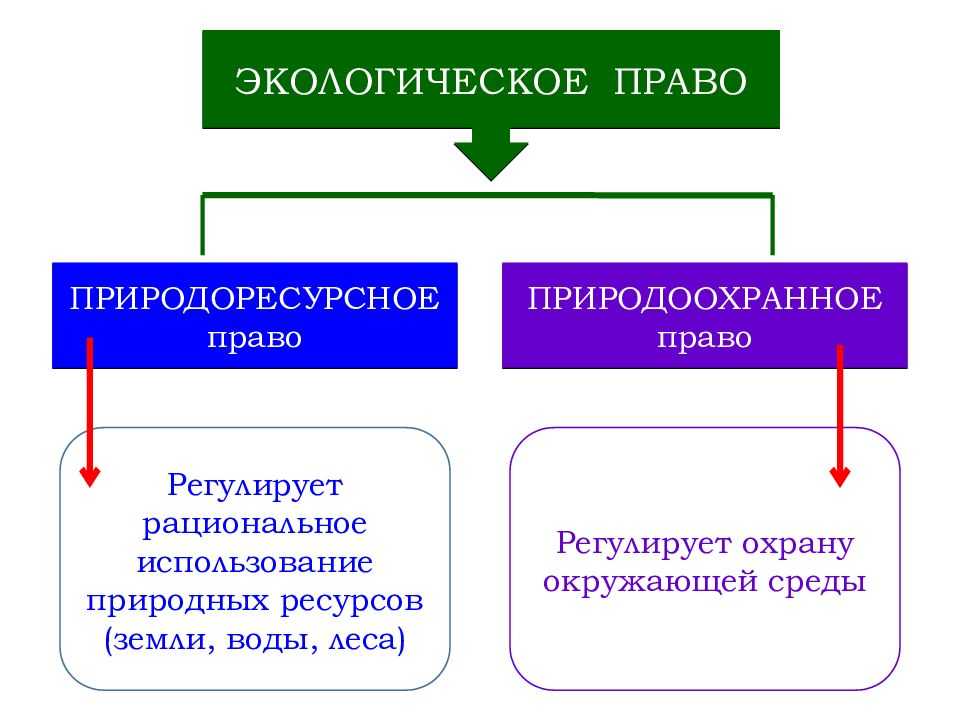 Право специального природопользования