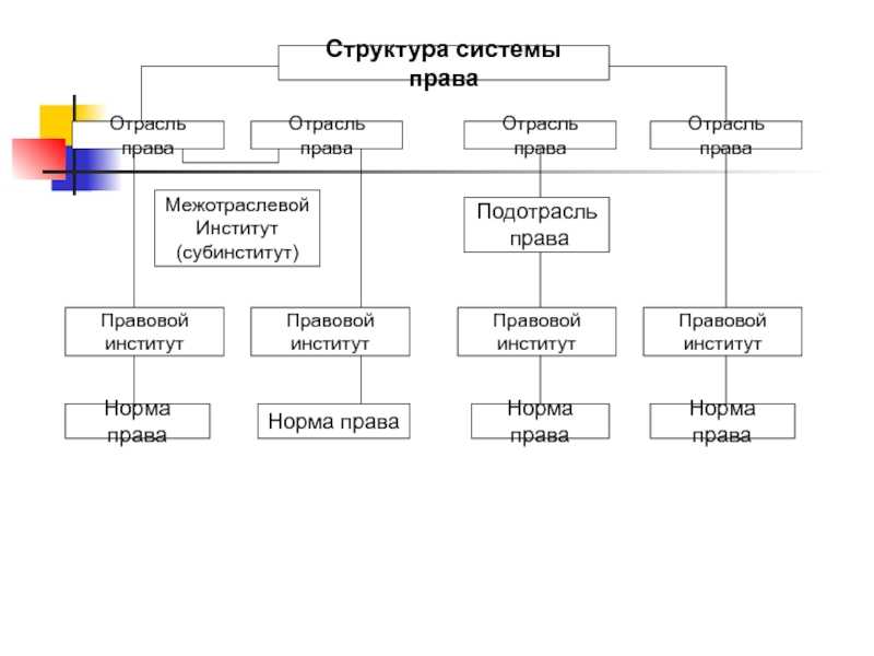 Вопросы по теории права