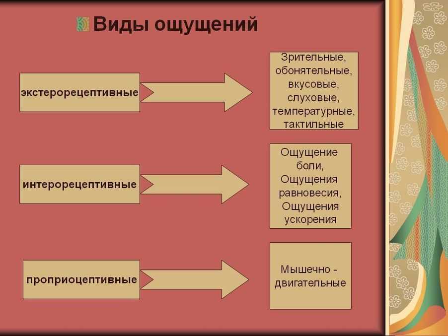 Ощущение как познавательный психический процесс
