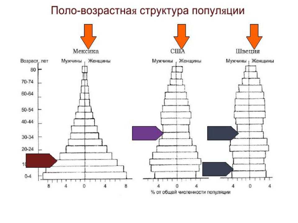Возрастной состав популяции