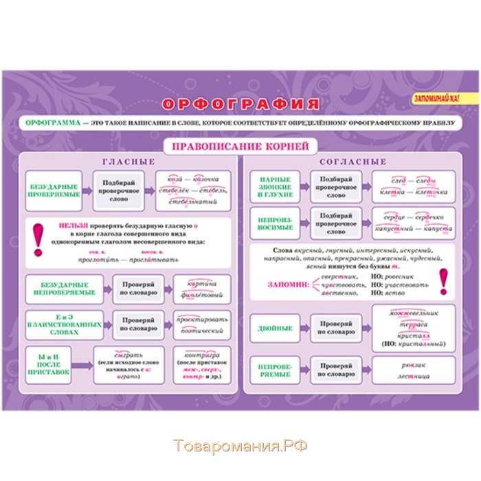 Что такое типы орфограмм