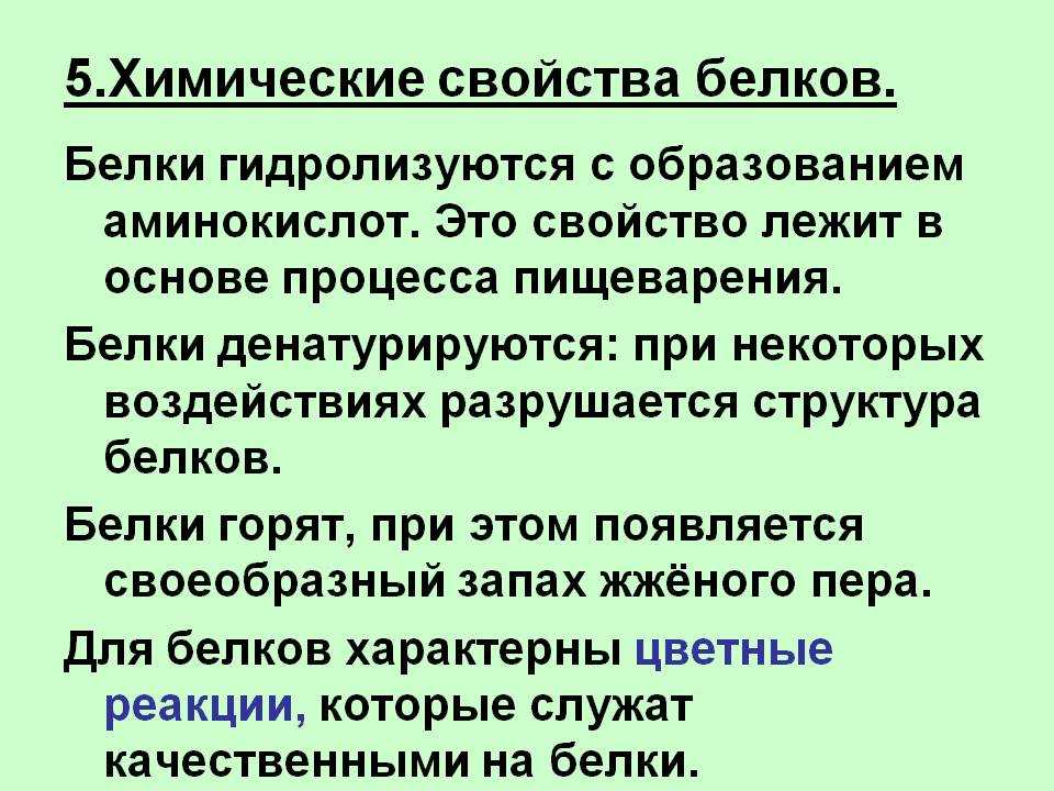 Основные функции белков в организме