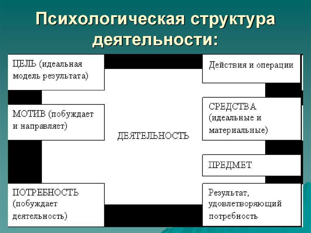Деятельность