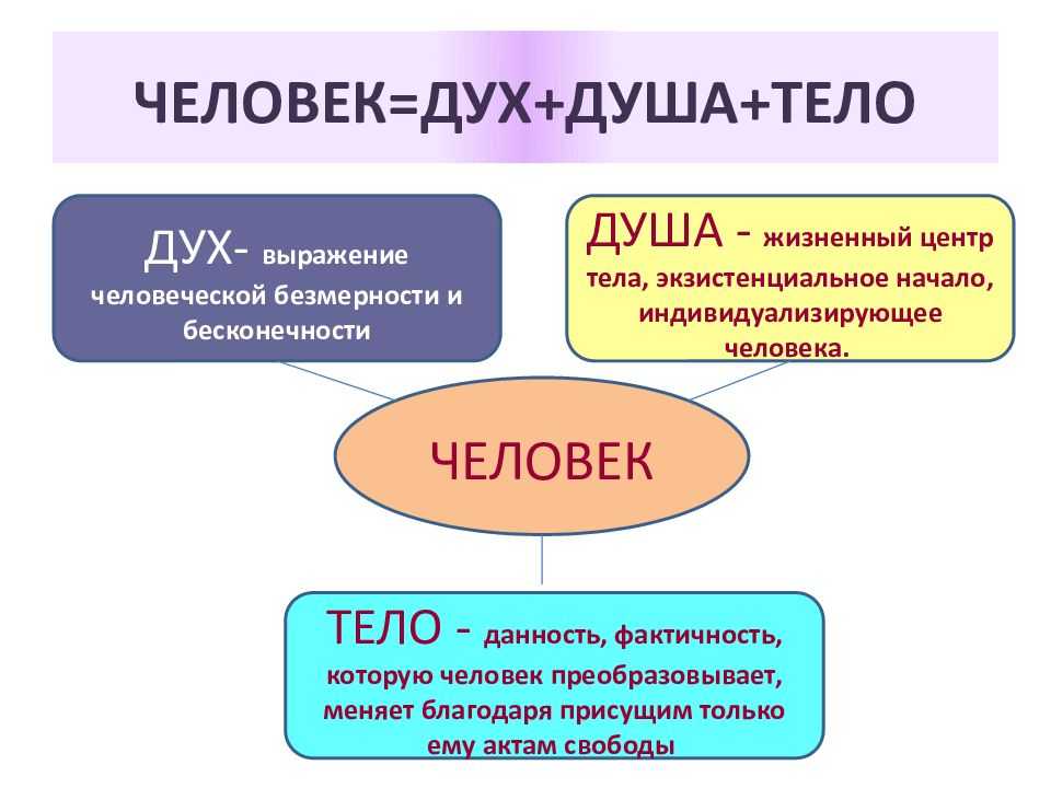 Природа и сущность человека - душа и тело - судьба и характер человека