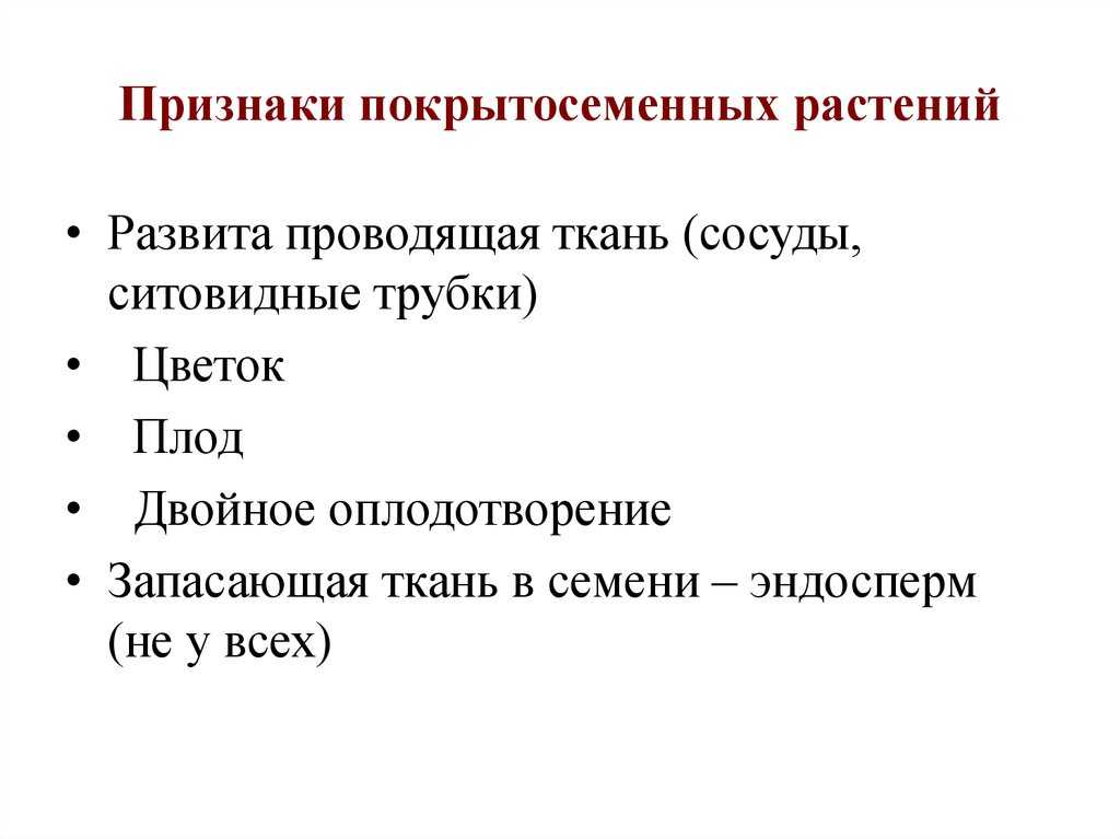 Отдел покрытосеменные (цветковые) растения