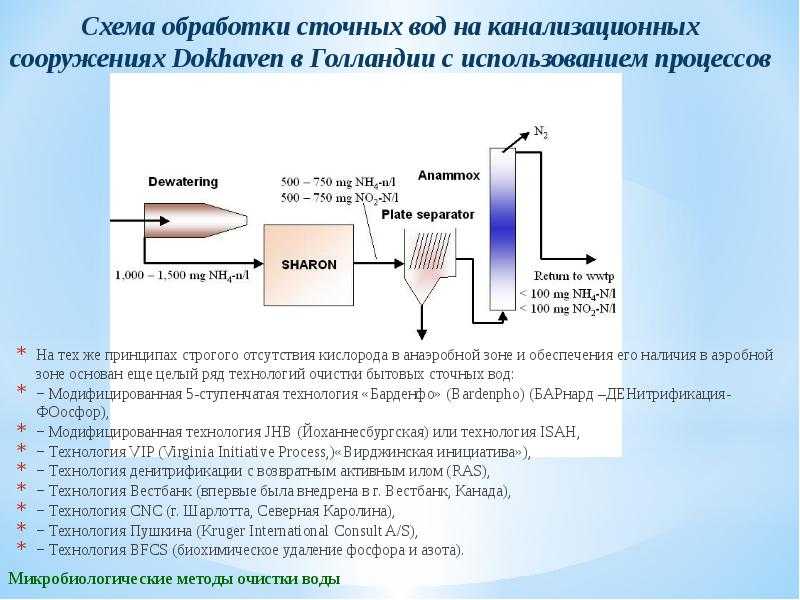 Микробиология учебное пособие - 2012