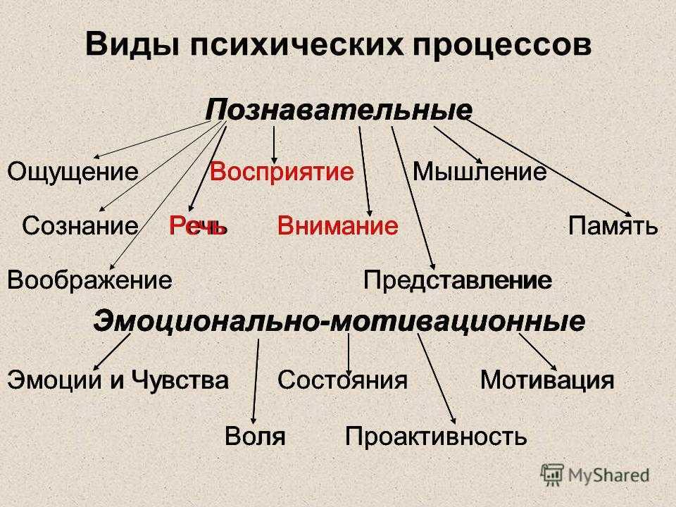 Ощущения: что это такое и какими они бывают