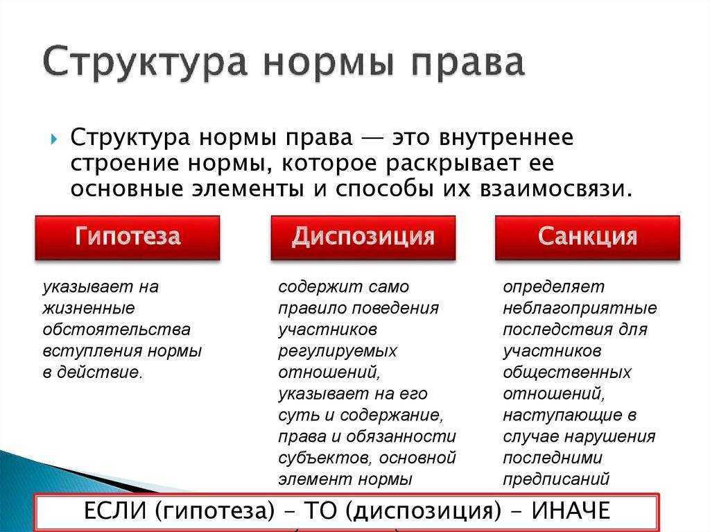 Социальные нормы общения человека в обществе и их функции