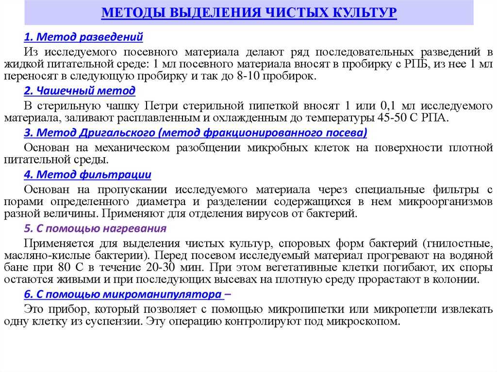 Чистые культуры бактерий анаэробных, молочнокислых: понятие, методы выделения, штаммы, где используются