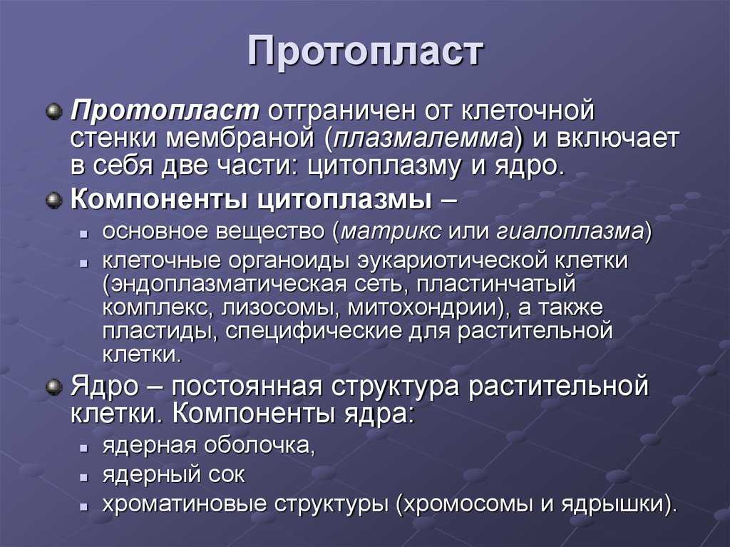 Продукты жизнедеятельности протопласта - растительная клетка - анатомия - медицинская ботаника - а.г. сербин - 2003