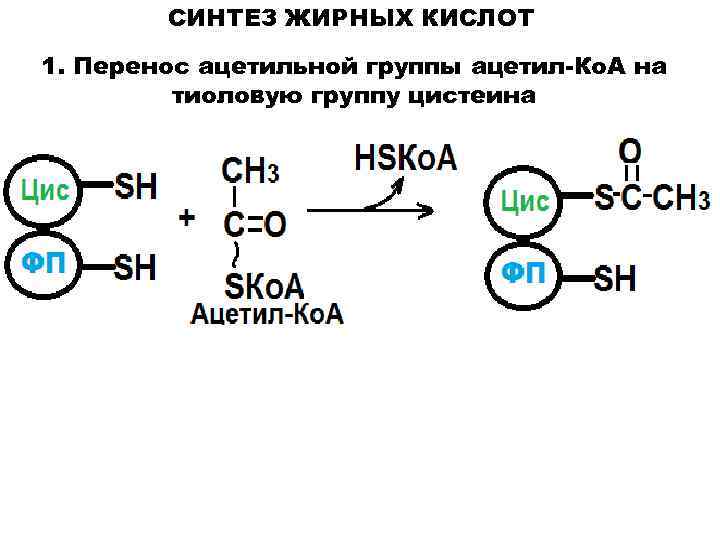 Обмен липидов - в. в. емельянов - 2016